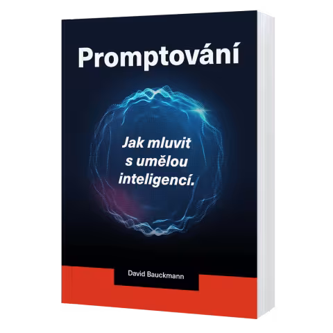 Kniha, Promptování